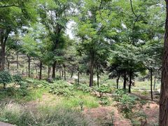 -北京西山国家森林公园