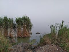 -上海市保健医疗中心(华东疗养院)