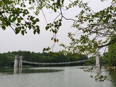 -东湖落雁景区