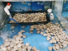 -鑫渔港海鲜本地菜·山海关浑锅(东戴河店)