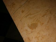 -牧歌商务公馆(南门店)