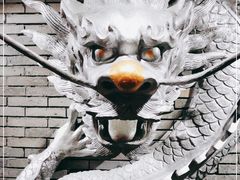 -蜀江龙火锅(339店)