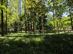 -徐家汇源景区-衡山公园