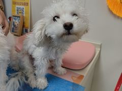 -宠颐生中康贝怡动物医院