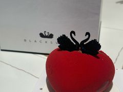 -BLACKSWAN黑天鹅(环球店)