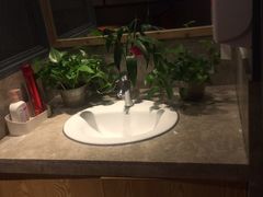 -比格比萨自助(万柳华联店)