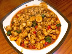 鱿鱼嘴-红辣椒八爪鱼特色韩国料理