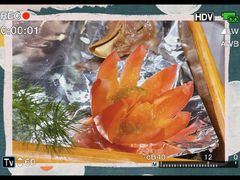 -城南往事·鲁菜济南菜(软件园美莲广场店)