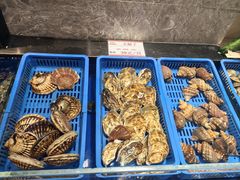 -奕景海鲜酒家· 大连海鲜(星海广场店)