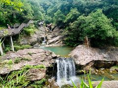 -广州白江湖森林公园