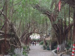 -胡里山炮台