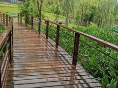 -沐仙湖湿地公园