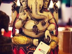 -英迪拉·甘地国际机场