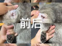-听TA说宠咖·宠物生活馆(天韵水岸店)