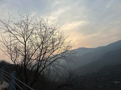 -北京西山国家森林公园