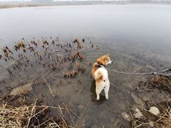 -绿堤公园