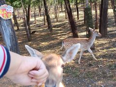 -秦皇岛野生动物园