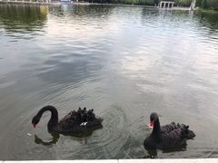 -长春世界雕塑园冰雪艺术天地