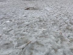 -观澜小洱海