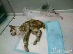 android_upload_pic-盛京一禾