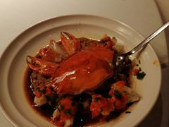 -三号黄浦会Canton Table