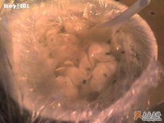507850_b-潘国仙耳光馄饨(黄家阙路店)