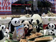 -灵玲国际马戏城
