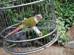 -南宫五洲植物乐园