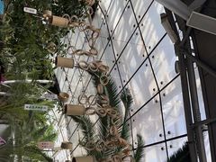 -北京植物园-展览温室