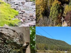 -五营红松林海景区