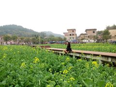 -红山村