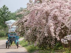 -永定河休闲森林公园