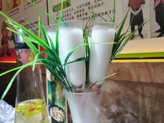 -探窝·竹笙椰子鸡(杨箕店)