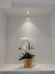 -MIVI半永久纹眉绣眉