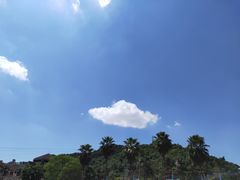 -重庆海昌加勒比海水世界