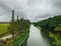 -嘉北郊野公园