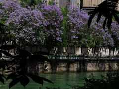 -成都市活水公园