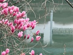 -途中饭店(开化店)