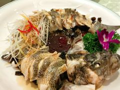 -博雅渔港·融合菜(维也纳国际大酒店)