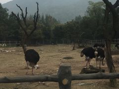 -西安秦岭野生动物园