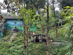 -中国大熊猫保护研究中心雅安碧峰峡基地