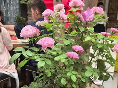 -又见炊烟私房菜(敬亭路店)