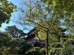 -龙华寺