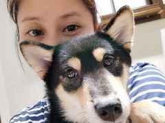 -逗柴咖啡屋·狗咖猫咖宠物桌游