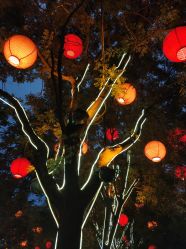 -西安威斯汀大酒店·宴会厅