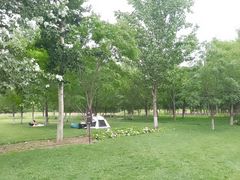 -汉长安城未央宫国家考古遗址公园