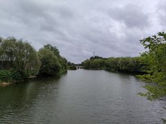 -溱湖国家湿地公园