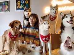 -Husky Go! 哈士奇体验馆·宠物咖啡厅狗咖