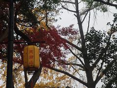 -灵岩山风景区
