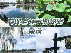 -什刹海